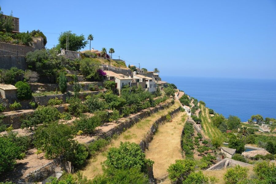 Palma de Mallorca: Son Juliana Wine Experience and Tasting - Mallorcan Specialties Make the Tasting Better