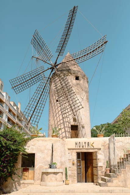 Palma de Mallorca: Spanish Cooking Experience - Key points to know before booking