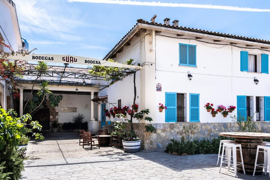 Palma: Distillery Tour with 3 Spirits and Tapas Tasting - The 170-year-old underground cellar