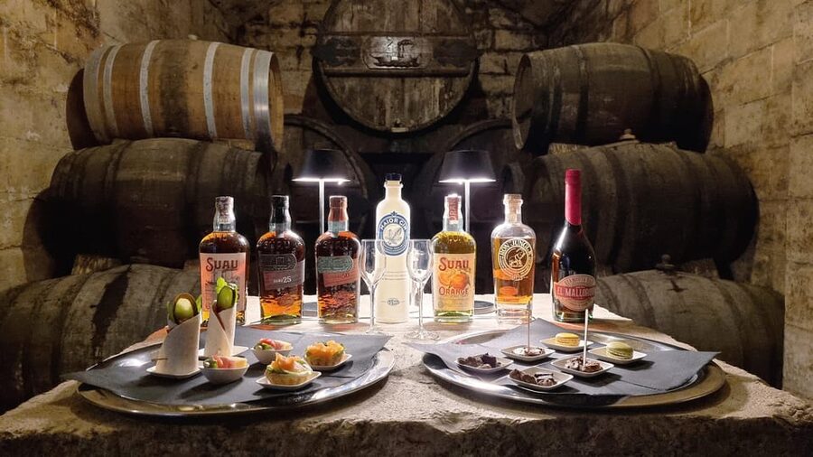 Palma: Distillery Tour with 6 Spirits and Tapas Tasting - What makes Bodegas Suau different from a standard tasting