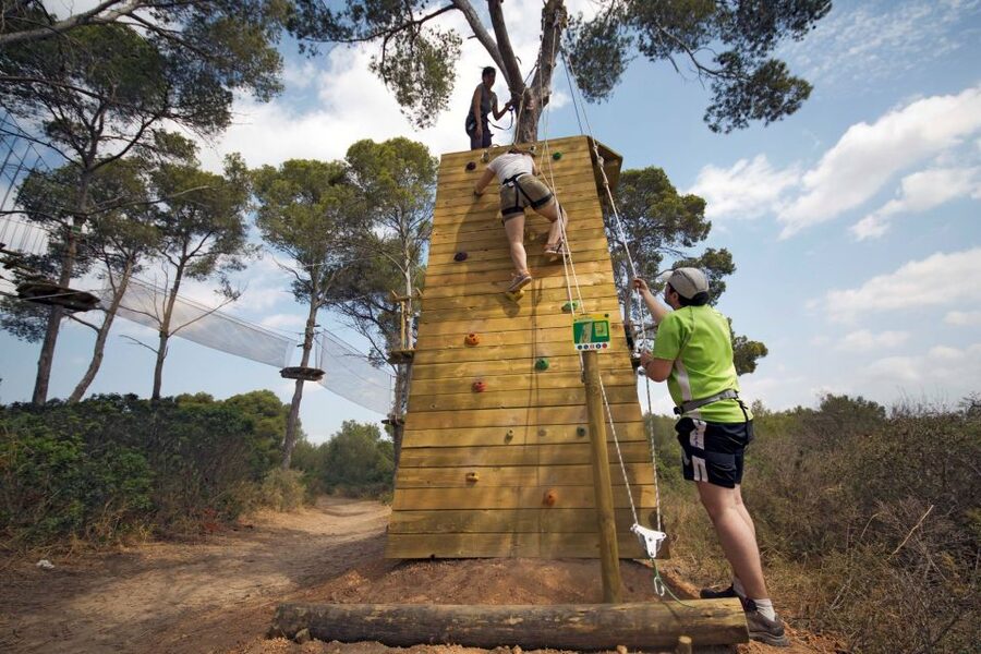Palma: Family or Sports Course Adventure at Forestal Park - What Forestal Park Mallorca actually feels like