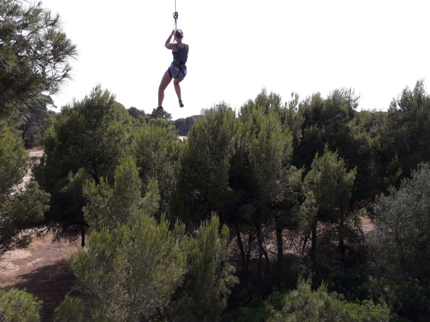 Palma: Family or Sports Course Adventure at Forestal Park - How long to allow, and why pace matters