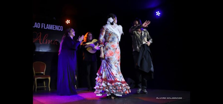 Palma: Flamenco Show at Tablao Flamenco Alma with Drink - The dancers bring force, control, and emotion