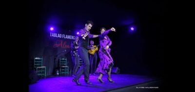 Flamenco Show at Tablao Flamenco Alma with Drink