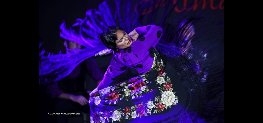 Palma: Flamenco Show at Tablao Flamenco Alma with Drink - Languages, flexibility, and practical planning
