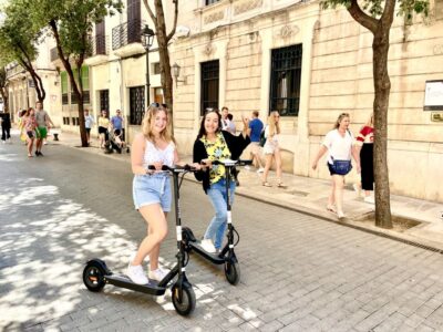 Guided 1.5 H city tour on Electric scooter