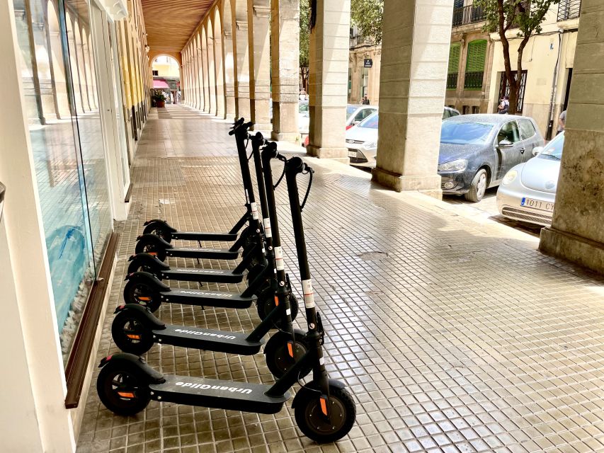 Palma: Guided 1.5 H city tour on Electric scooter - La Lonja and Palma’s Gothic character