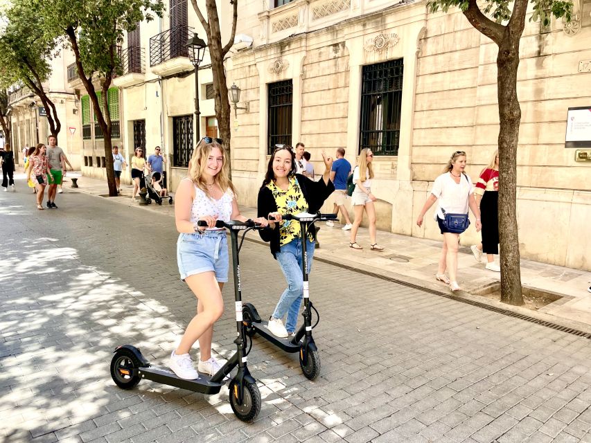 Palma: Guided 1.5 H city tour on Electric scooter - Starting beside Palma Cathedral and the Royal Palace