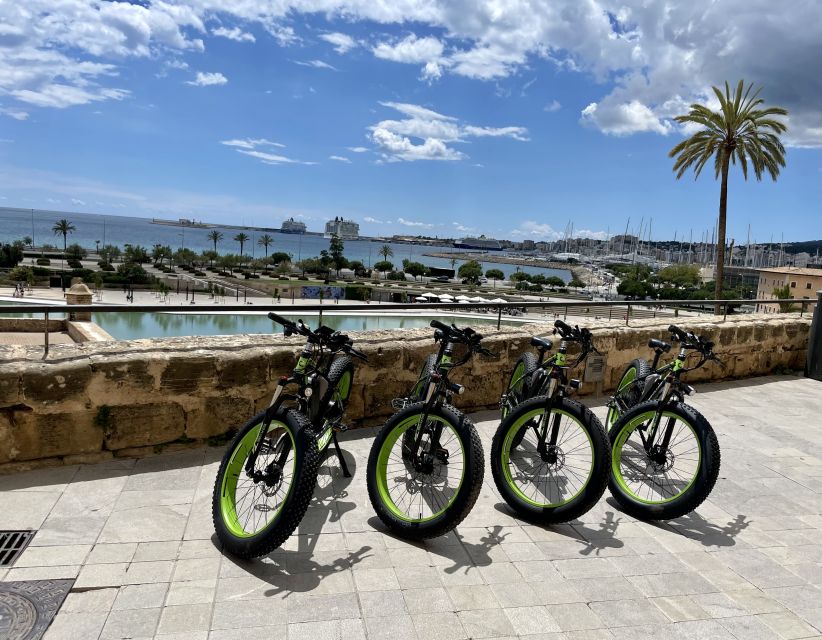 Palma: Guided City Tour with a Fat Tire E-Bike - Who should book this Palma ride?
