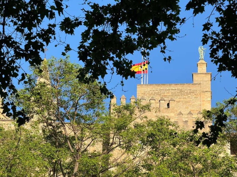 Palma in person and away from the crowds - What the 100 minutes mean for your day