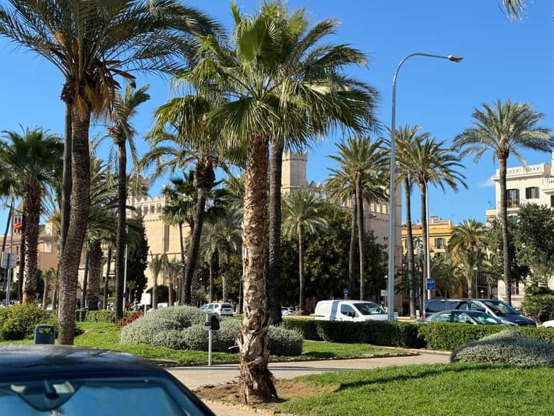 Palma in person and away from the crowds - Smart ways to prepare before meeting at Lennox bar