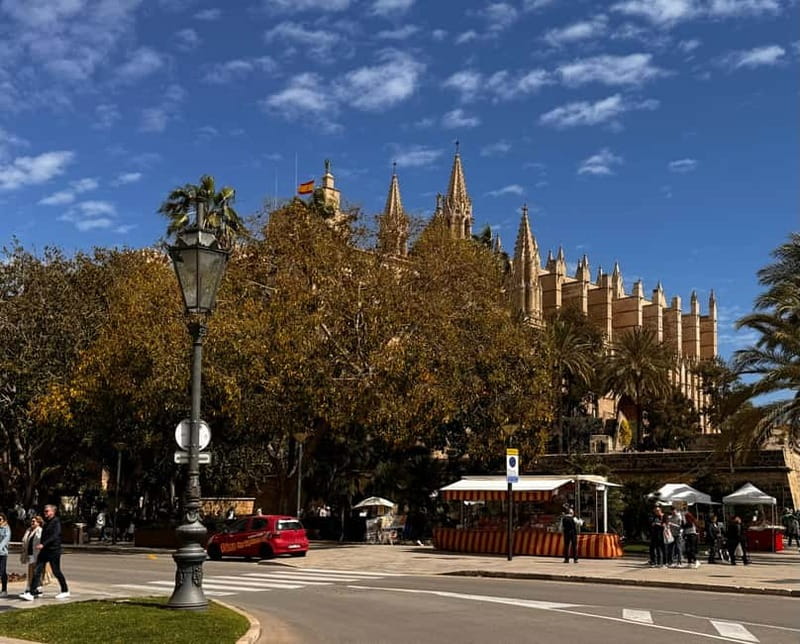 Palma Old Town Insider Tour with visit of the Cathedral - Almudaina Palace and the Royal Gardens