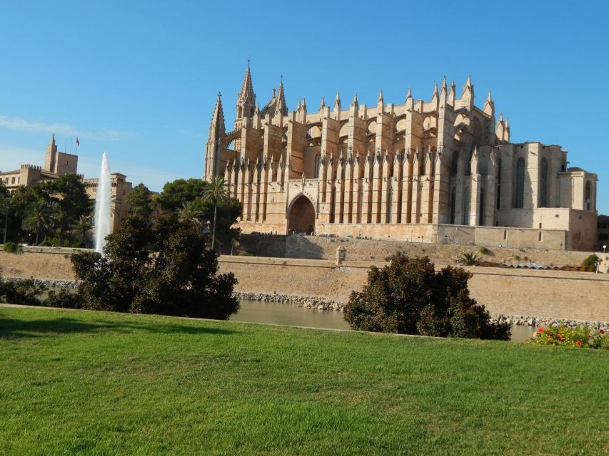 Palma: Old Town Walking Tour & Cathedral Skip-the-Line - Should you book the Palma old-town and cathedral tour?