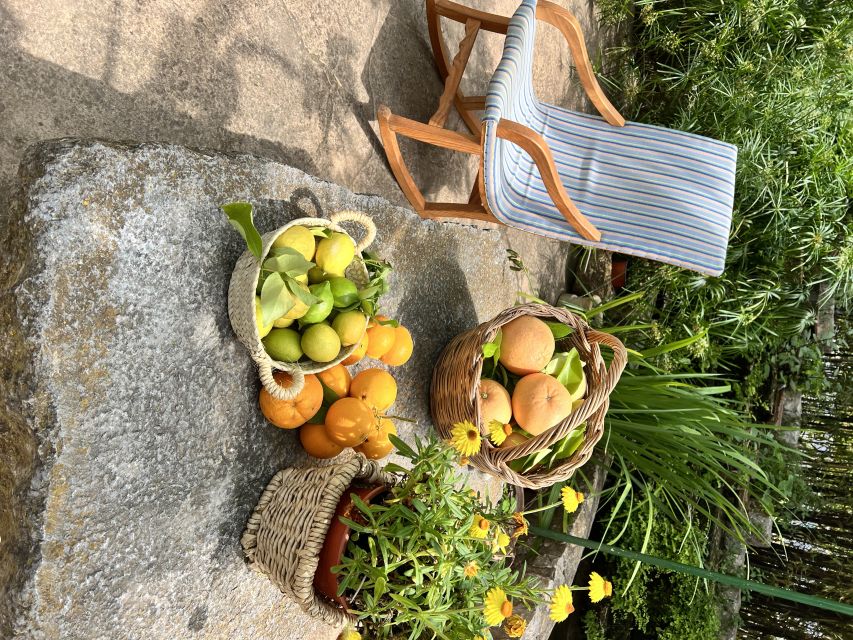Palma: Orange Farm, Olive Mill, & Winery Tour with Tastings - Key details that shape the day