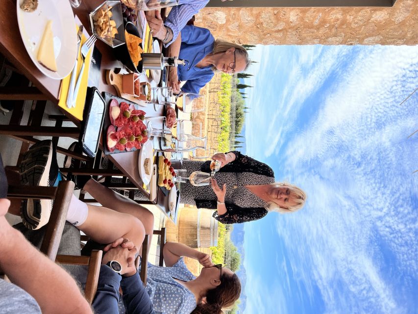 Palma: Orange Farm, Olive Mill, & Winery Tour with Tastings - From Palma to the orange groves
