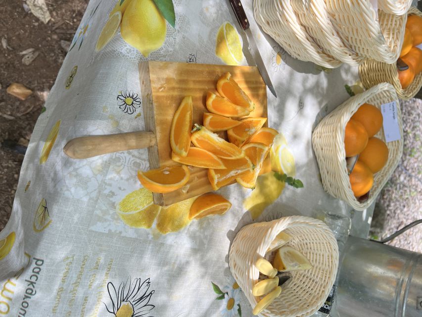Palma: Orange Farm, Olive Mill, & Winery Tour with Tastings - Should you book the orange, olive oil, and wine tour?