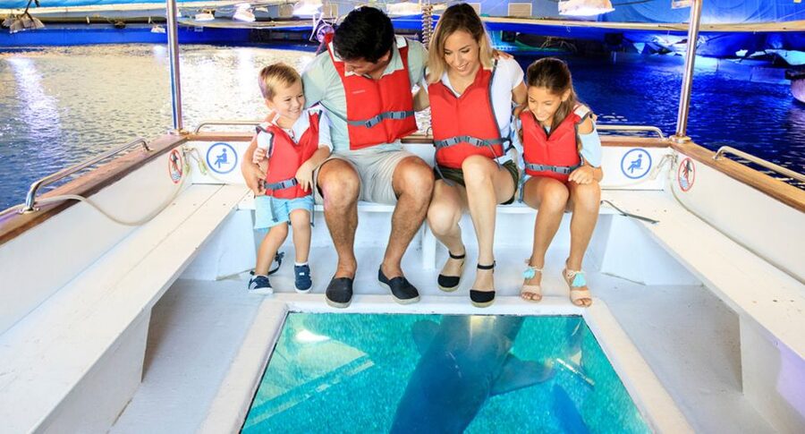 Palma: Palma Aquarium Ticket with Transfer Service - A 1-kilometer route through several sea worlds