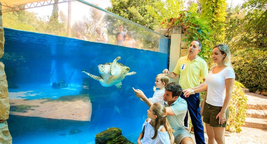Palma: Palma Aquarium Ticket with Transfer Service - Food and optional extras inside the aquarium