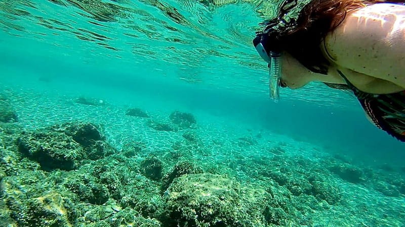 Palma: Private Boat Tour in Mallorca with Snorkel and Paddle - Should you book this private Palma cruise?