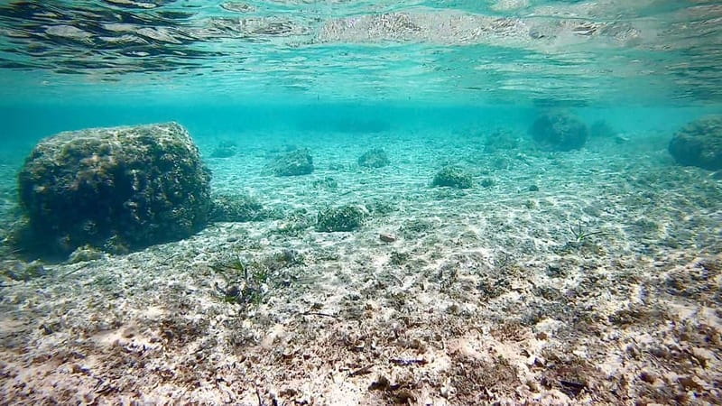 Palma: Private Boat Tour in Mallorca with Snorkel and Paddle - Practical tips for a smoother outing
