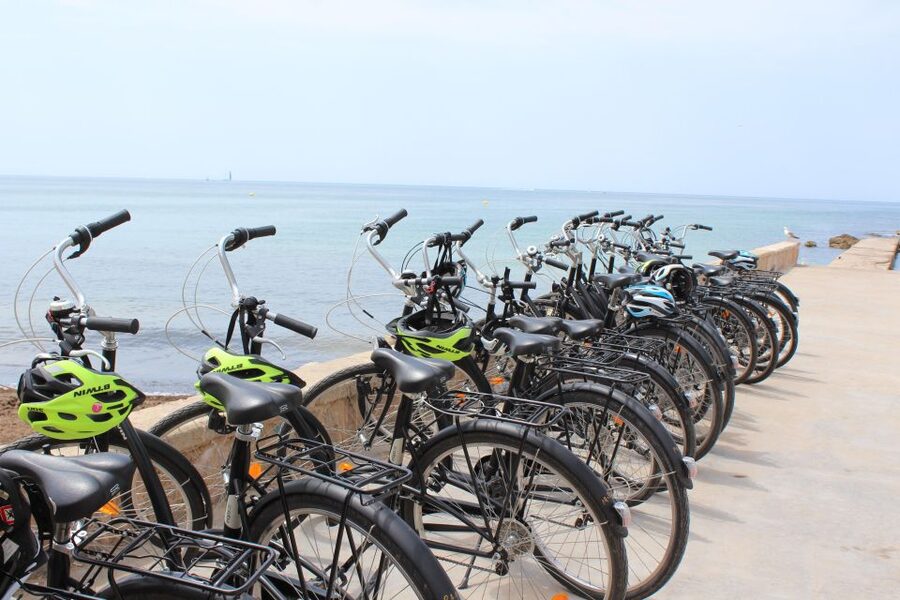 Palma Shore Excursion Bike Tour (Transfer Included) - Who will enjoy this Palma bike tour?
