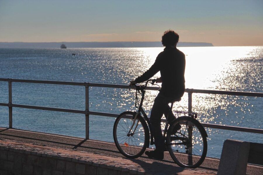 Palma Shore Excursion Bike Tour (Transfer Included) - Why a bike is a smart way to see Palma