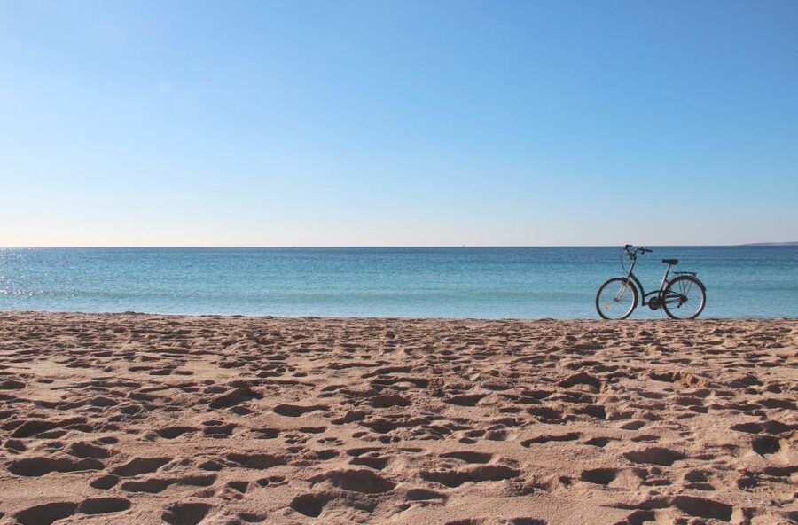 Palma Shore Excursion Bike Tour (Transfer Included) - Santa Eulalia, the Cathedral, and Palma’s grandest sights