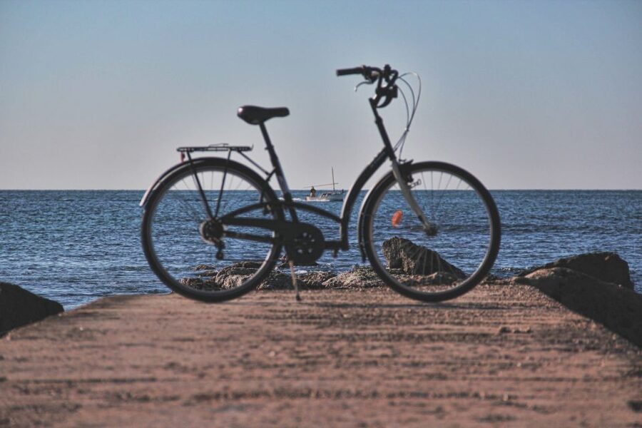 Palma Shore Excursion Bike Tour (Transfer Included) - The one-hour break and the return transfer
