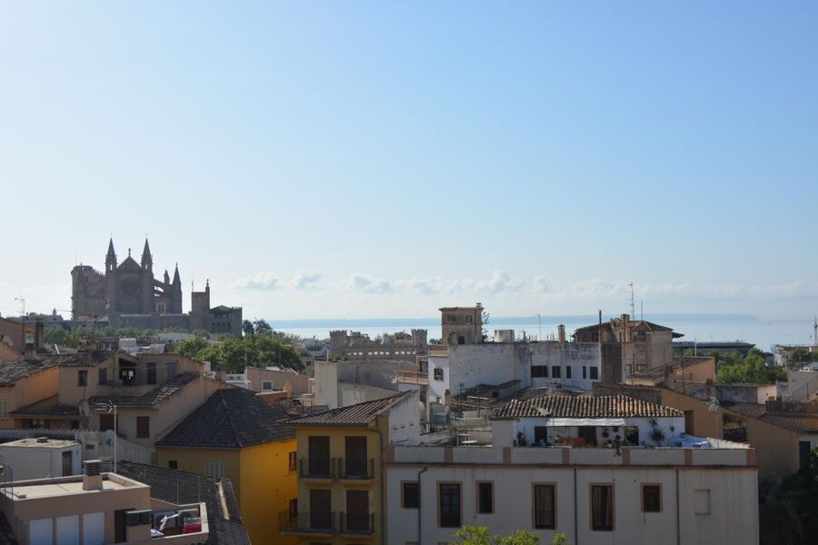 Palma Shore Excursion Bike Tour (Transfer Included) - Is $109 a fair price?