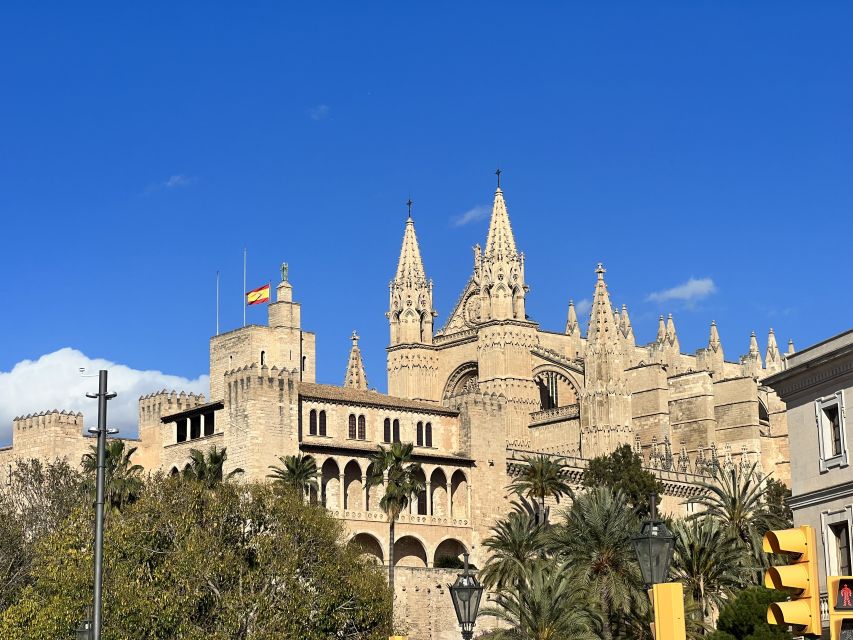 Palmas sightseeing highlights in a private and exclusive way - Key points at a glance