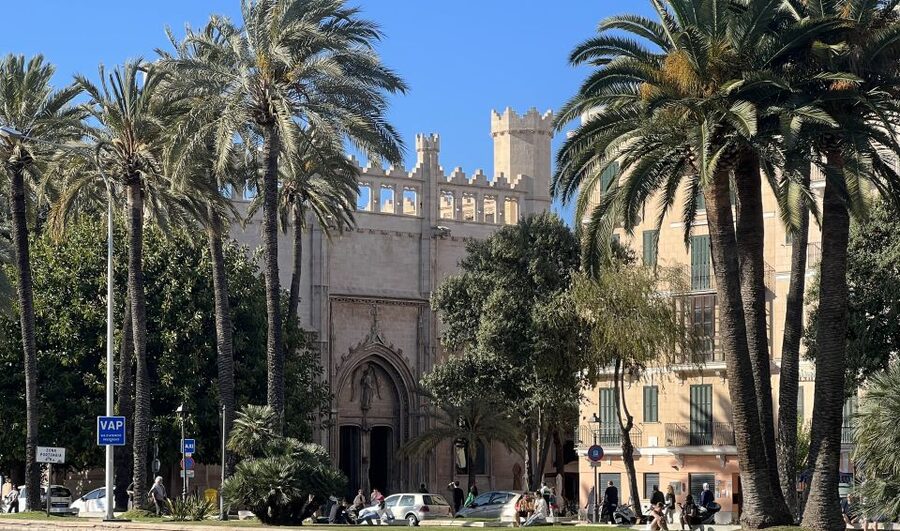Palmas sightseeing highlights in a private and exclusive way - Who will get the most from this Palma walk?