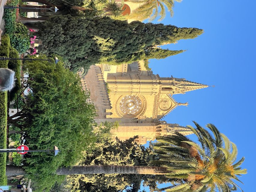 Palmas sightseeing highlights in a private and exclusive way - The Gothic cathedral and Almudaina Palace from the outside