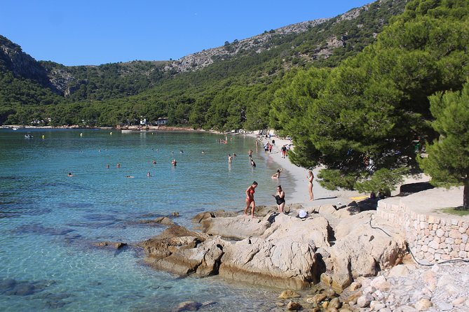 Panoramic Mallorca Boat Trip to Formentor Beach - Who will enjoy this trip most