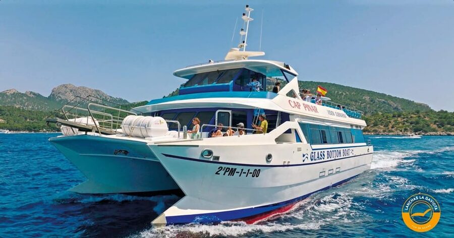 Pollença: Dolphin Watching Boat Excursion - Breakfast with the bay behind you