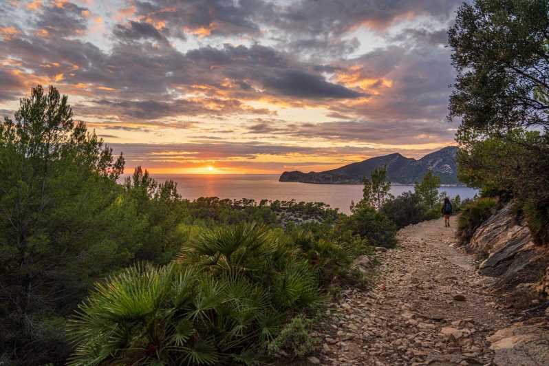 Port Andratx: Guided hiking tour into the sunset to Sant Elm - The Dragonera viewpoint and the picnic at sunset