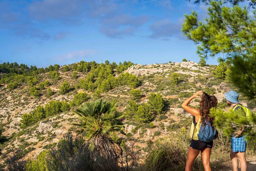 Port Andratx: Guided hiking tour into the sunset to Sant Elm - Descending to Sant Elm after dark