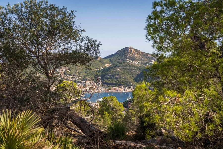 Port Andratx: Guided hiking tour into the sunset to Sant Elm - How difficult is the route?