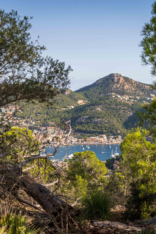 Port Andratx: Guided hiking tour into the sunset to Sant Elm - What the $93 price includes