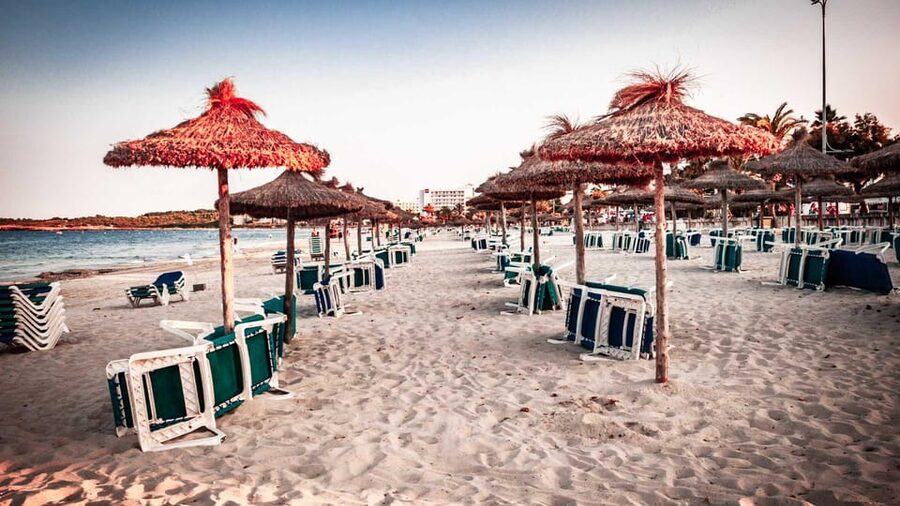 Port d'Alcudia: Meet the Magical Creatures,family game &walk - A family story rather than a history tour