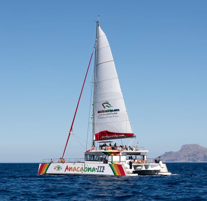 Port d'Alcudia: North Coast Catamaran Cruise with Meal - Families, teenagers, and mixed groups