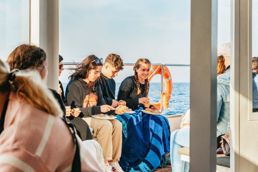 Port d'Alcudia: Sunrise at Sea & Dolphin Watching Boat Tour - Who will enjoy this Alcúdia experience most