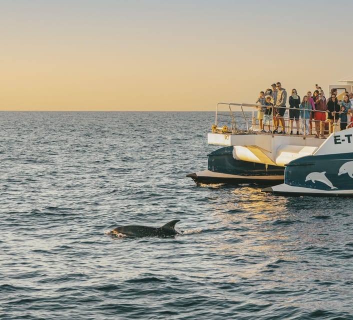 Port d'Alcudia: Sunrise at Sea & Dolphin Watching Boat Tour - Why this three-hour cruise is worth the early alarm