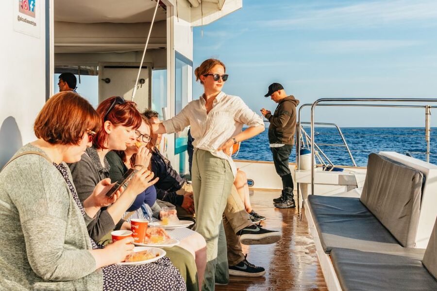 Port d'Alcudia: Sunrise at Sea & Dolphin Watching Boat Tour - An hour on the open sea before the dolphins