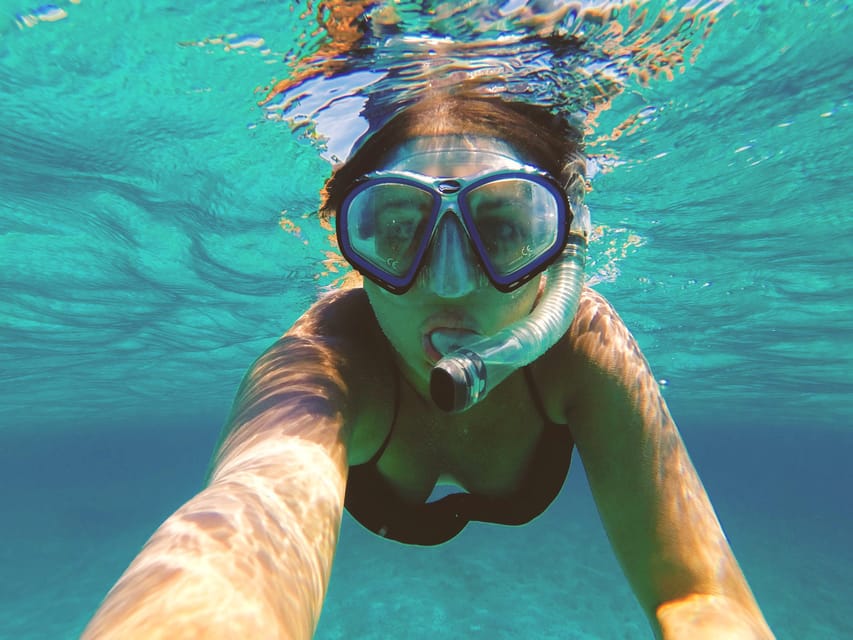 Port de Sóller: Snorkeling Tour with Professional Guide - What you may see below the surface