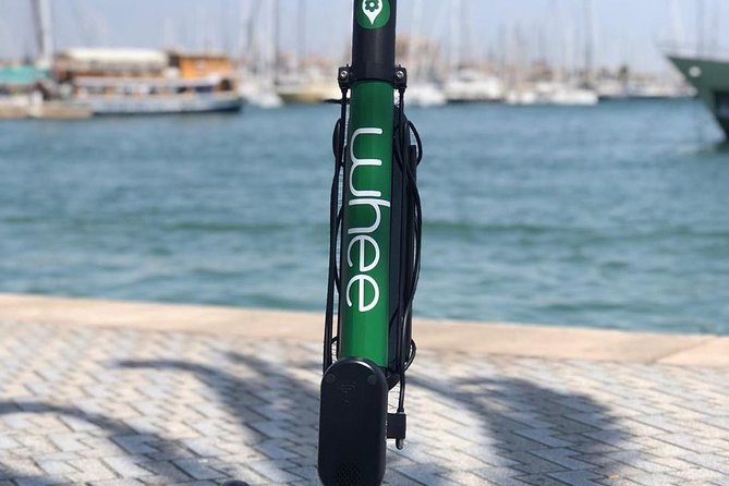 Premium electric Scooter rental with optional delivery - Using the WHEE app during your ride