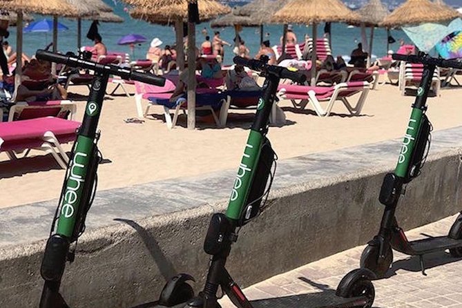 Premium electric Scooter rental with optional delivery - Who will get the most from this rental