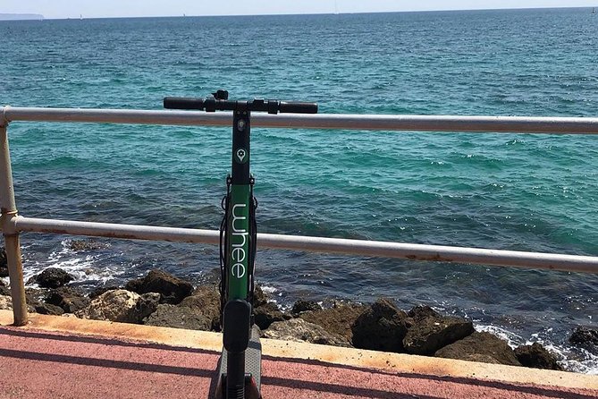 Premium electric Scooter rental with optional delivery - Weather, safety gear, and practical limits