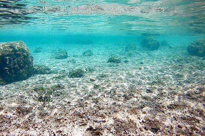 Private Boat Tour from Palma with Snorkeling and Paddle Surfing - Price and Group Size: When the Tour Makes Sense