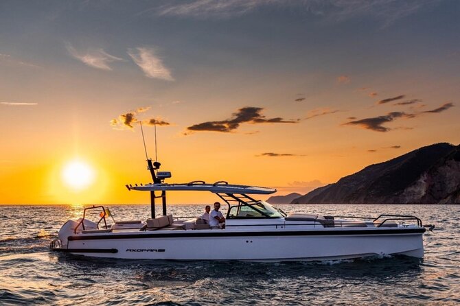 Private Half Day Cruise on a Speed Boat in Mallorca - Who should book this cruise