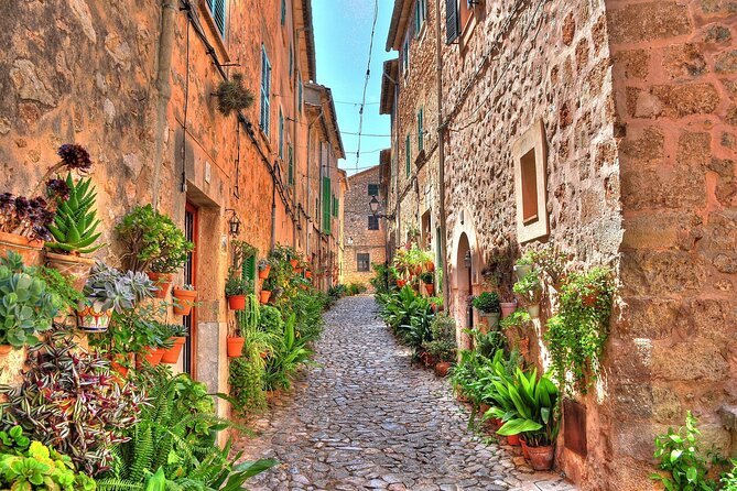 Private Shore Excursion to Valldemossa and Palma de Mallorca - What private transport changes